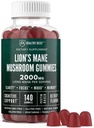 Lions Mane Gummies Mushroom dla dorosłych, 140 Hrabia luzem Lwie Chewables Mane, Wysoka potencja 10: 1 Ekstrakt organiczny wynosi 2000mg, Suplement Wspiera mentalną klarowność, Focus, Mood and Brain Fog
