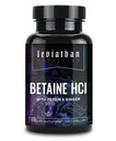 Lewiatan Betaine HCl z Pepsin & Ginger - suplement do enzymów trawiennych do pomocy i wsparcia, Kwas żołądkowy i odżywczy Wchłanianie