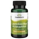 Swanson Lactobacillus Acidophilus 2 Miliard Cfu 100 kapsułki