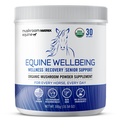 Om Mushroom Matrix - Equine Next 124; Wellbeing Next 124; USA Urosły Humanity-Grade Organic Mushroom Powder Show Safe Horse Supplement Next 124; Wellness, Recovery, & Senior Support Next 124; 300 Grams, 10.5 oz