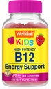 WellYeah Witamina B12 Gummies dla dzieci - Wzmocnienie energii, Ulepszenie funkcji mózgu i Wzmocnienie układu immunologicznego - Nie-GMO, Gluten- Free - Great Desting Berry Flavor - Łatwy do żucia - 60 Gummies
