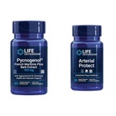 Przedłużenie życia Pycnogenol Francuski Morski Pine Bark & Gotu Kola Arterial Health Supplements - 60 & 30 Kapsułki wegetariańskie