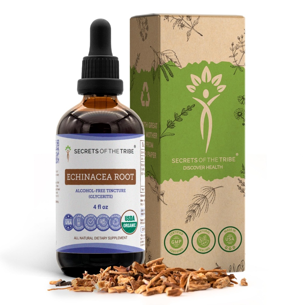Echinacea Root USDA Organic Tincture Budapest 124; Ekstrakt bez alkoholu, Wysokiej mocy Ziołowe Krople, System immunologiczny Zdrowie 124; Wykonane z 100% Certified Organic Echinacea Root (Echinacea Purpurea) 4 oz