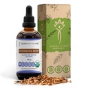 Echinacea Root USDA Organic Tincture Budapest 124; Ekstrakt bez alkoholu, Wysokiej mocy Ziołowe Krople, System immunologiczny Zdrowie 124; Wykonane z 100% Certified Organic Echinacea Root (Echinacea Purpurea) 4 oz