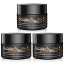 Shilajit Purest Himalayan Organic Shilajit Resin - Gold Grade 100% Czystość Shilajit z Fulvic Acid & 85 + Ślad Minerałów Kompleks dla energii i wsparcia immunologicznego, Opakowanie 3 (6 miesięcy dostaw)