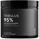 Tribulus Terrestris for Men - Ultra High Potency 25: 1 Extract with 95% Saponiny - 1300mg Pure & Concentrated Formula - Third- Party Lab Tested for Pure & Quality - 240 kapsułki