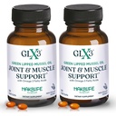 GLX3 Green Lipped Mussel Oil Kapsułki do stawów i wsparcia mięśni 124; Extra- Siła ETA, EPA, DHA Omega-3 Green Lipped Mussel Supplement for Comfort, Elastyczność & Odzysk przez HakaLife GLX3