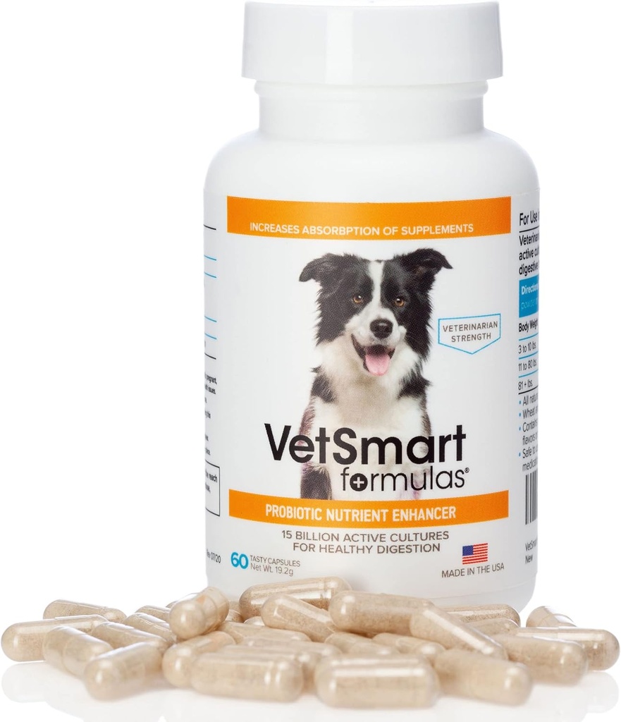 Pet Probiotics for Dogs Supplement - Supports Digestive Enzymes for Nutrient Absorption - 15 Billion Active Probiotic Cultures Attack Inflammation to Prevent Infection