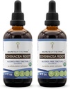 Echinacea Root USDA Organiczne nalewki 124; Ekstrakt wolny od alkoholu, Wysokiej Potliwości Zioła Krople, Immune System Zdrowia 124; Made from 100% Certified Organic Echinacea Root (Echinacea Purpurea) 2x4 oz