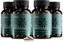 Probiotyki BIOMA do zarządzania masą ciała i zdrowia, 3 w 1 Gut Health Probiotyki i Prebiotyki / Postbiotyki, Slow Release Synbiotic Probiotic Kapsułki dla Gut Health Multi Enzym (240 Czapki)