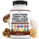 Lions Mane Mushroom Supplement with Turkey Tail Reishi Cordyceps Chaga with Marshmallow Root - 1- Pack