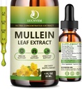 (2 Pack) 98% Absorption Mullein Drops for Lungs, Powerful 5 in 1 Mullein Leaf Herbal Blend Extract, Natural Lungs Support Supplement for Lungs Cleanse & Detox and Respiratory Lung Health