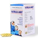 Joint Pain Relief Tablets 60nos | Herbal Tablet for Joint Pain | Backache | Knee Pain | Shoulder Pain | Muscular Pain | Body Stiffness