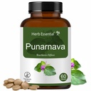 Herb Essential Punarnava Tablets 500 mg, 60 Tablets