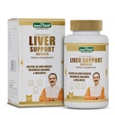 Jeena Sikho Acharya Manish Ji Liver Support Capsules | Ayurvedic Formula for Liver Health | For Liver Detox & Metabolic Balance | Liver wellness, 60 capsules
