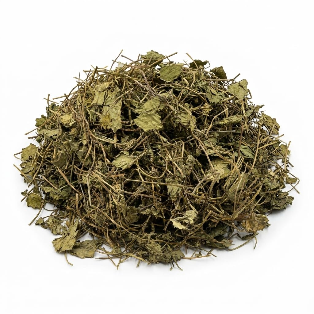 100% natural Brahmi Leaves 100g | Natural Sun-Dried Bacopa Monnieri | For Calm Herbal Tea, Ayurveda and DIY Use (Pack of 1)