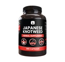 PURE Original INGREDIENTS Japanese Knotweed, (365 Kapsułki) No Magnezu lub wypełniacze ryżu, zawsze czyste, Laboratorium zweryfikowane