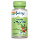 SOLARAY Uva Ursi Leaf 460 mg XI124; Healthy Bledder, Nerki & Traktor moczowy Wsparcie funkcji 124; Non-GMO XI124; 100ct (Take 3 Daily)