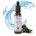 Pochowany skarb Lymphatic Harmony Drops - 2oz, 30 Sług, Suplement Lymphatic z Cleavers, Burdock, Echinacea i Astragalus