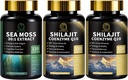 Sea Moss i Shilajit kapsułki dla mężczyzn i kobiet, Wszystkie w 1 Suplementy z Shilajit, Sea Moss, Koenzym Q10, Black Seed, Ashwagandha, Burdock dla energii, Przeciwutleniacz i wsparcie immunologiczne