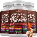 Nowy wiek Lions Mane Mushroom Suplement z Turcji Ogon Reishi Cordyceps Chaga z Marshmallow Root 180 Count