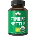 USDA Organic Stinging Nettle Vegan Kapsułki wykonane ze Stinging Nettle Leaf proszek do prostaty, wzrost włosów, alergia. Lepsze to niż ekstrakt z nasion. Tabletki roślinne suplement ziołowy, 60 tabletek