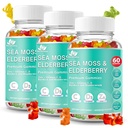 BIO VITALICA Sea Moss Gummies Elderberry BioVitalica - Witamina C D + Cynk - Irish Seamoss Vegan Gummy z Sea Moss żel & Proszek dla odporności, Detox - dla dorosłych i dzieci (3Packs)