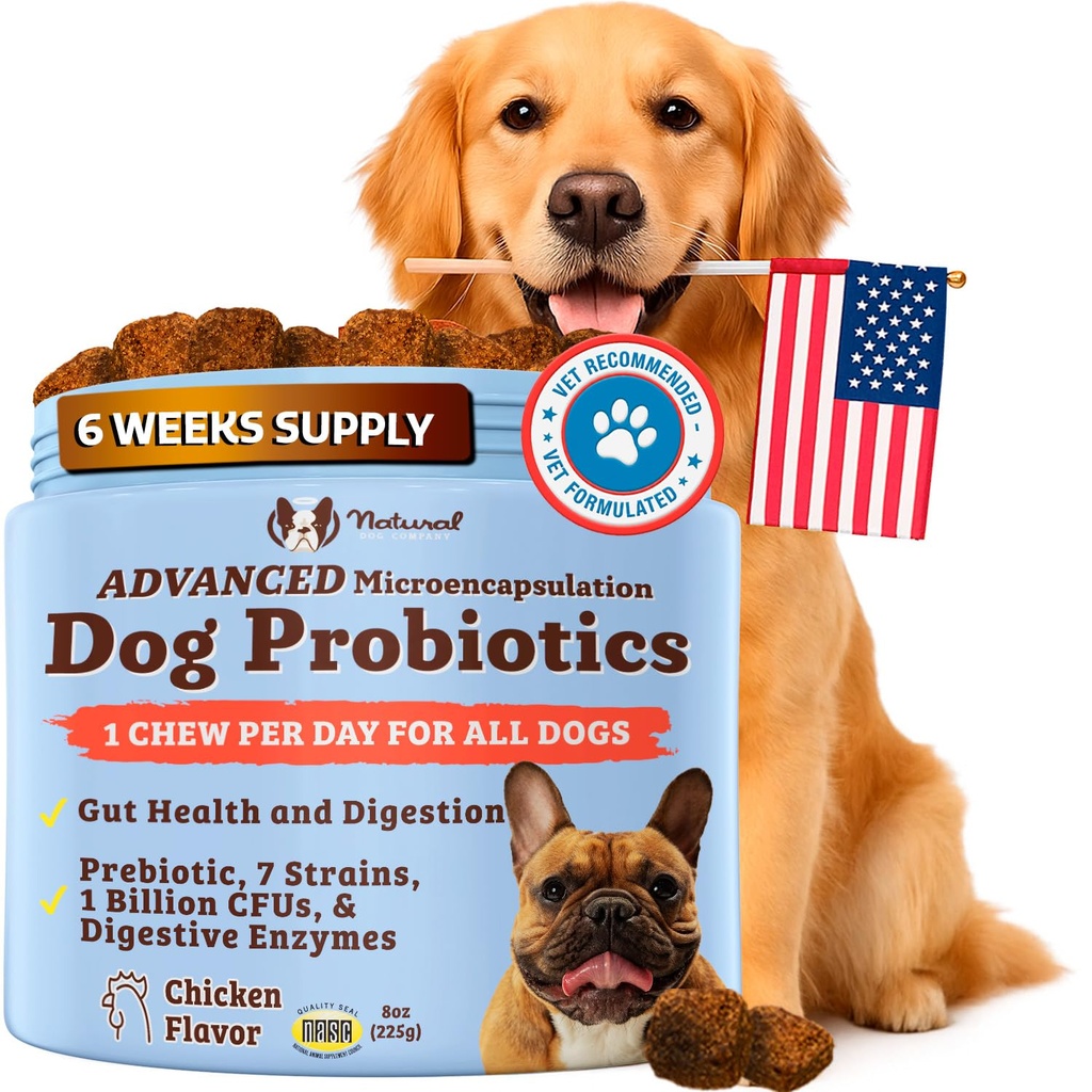 Natural Dog Company Gut Health & Canine Specific Probiotics Chews, 1 Daily Chew for All Dogs, Prebiotics & Digestive Enzymes for Trawienie, Gas, Loose Stool, System immunologiczny i wsparcie dla jelit