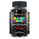 ALPHA LION Gains Candy, Suplement Pigułki do pompy mięśniowej i przepływu krwi, Azoksyd azotowy Booster, Wspomaga mentalne Focus, Użyj codziennie do aktualizacji wydajności treningu, 63 Kapsułki (Nitrosigine)