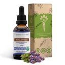 Bugleweed USDA Organic Equipment 124; Alcohol- free Extract, High- Potency Herbal Drops, System oddechowy Equipment 124; Made from 100% Certified Organic Bugleweed (Ze Lan, Lycopus Virginicus) Suszony Herb (2 FL OZ)