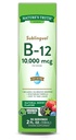 Nature 's Truth Podjęzykowa witamina B- 12 10 000 Mcg, szybko działający płyn, Natural Berry Flavor, 2 Płynna unce (Opakowanie 1)