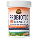 Vitalitown Probiotyki 120 Milion CFU, 36 Szczepów, Prebiotyki, Enzymy Żywieniowe dla Kobiet, Opóźnione Release, Szafka Stable, On The Go Digestive Support, 30 Czapki Veg