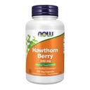 Teraz żywności Suplementy, Hawthorn Berry 540 mg, Darmowe Radical Scavenger *, Ziołowy suplement, 100 Kapsułki Veg