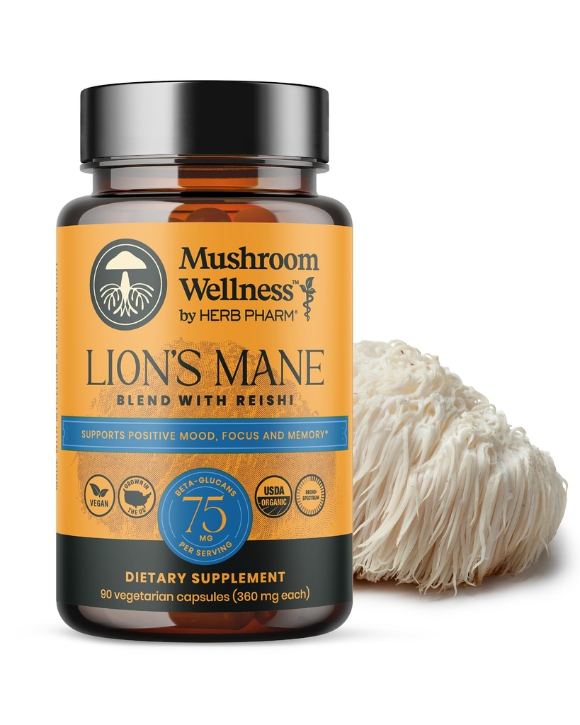Grzyb Wellness Mane Lion Mieszanka z Reishi: Organic Lwie 's Mane & Reishi Mushroom Kapsułki, Mushroom Powder Supplement, Wsparcie Cognitive Health, Pamięć, i Mental Focus, 90 Kapsułki wegańskie