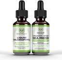 Płynne krople Chlorofilu + Irish Sea Moss Drops 2oz, 4 Miesiące Dostawy Chlorofilu Płynny suplement do dezodorantu wewnętrznego i skóry promienistej