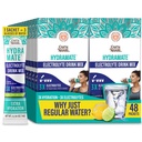 GuruNanda Hydramat Hydration Support Drink Mix - Electrolyte Puder Pakiety do Odwodnienia, Ćwiczenia i Energii - No Added Sweeters, Non-GMO, Natural Lemon Lime Flavor - 48 Count (0.56 oz Każdy)