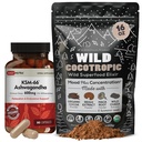 DailyNutra KSM 66 Ashwagandha (90 Kapsułek) i Mushroom Cacao Mix (16oz) Bundle for Relaxation and Focus