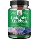 Prebiotyki i probiotyki Gut suplement zdrowia - Super Potent Digestive Health Acidophilus Probiotic Kapsułki z mężczyznami i kobietami Probiotyki i Prebiotyki dla Colon Digestive Wsparcie i Immunitet