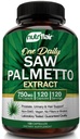 Nutric Flair Saw Palmetto Extract 750mg, 120 kapsułki - Natural Prostate Supplement & Berry Health Support - Pomaga Block DHT zapobiec wypadaniu włosów i pomaga zmniejszyć częste oddawanie moczu, dla kobiet i mężczyzn