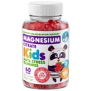 DR. MORITZ Sugar-Free Recall Gummies Magnezu dla dzieci i dorosłych - Non-GMO Dzieci Magnezu Gummies - Malina Flavor - 1- Pack (60 Count)