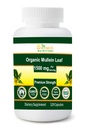 Organiczny Mullein Leaf 1500 mg Podawanie 120 Kapsułki roślinne Made in USA