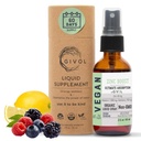 Organic ZINC Boost Mist 40 mg (dodatkowa siła) - Sugar Free with Vit C and Elderberry Extract - Vegan Liquid Spray for Kids and Adult - Easy Absorption - Non-GMO - (60 ml) 60 Day Supply