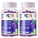 Zwierzęta domowe Najczystsza Glukozamina Gummie Chondroitin z mumm & Elderberry Extra Siła - Wspólne wsparcie, Antyoksydant immunologiczny suplement wsparcia dla dorosłych, Mężczyźni i kobiety. (2 Pack) Blueberry