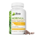 Jiva Botanicals Moringa Leaves Extract Kapsułki - Wykonane z proszku Moringa Leaf i suplementu Oleifera dla immunologicznego i normalnego wsparcia stawów - 90 Kapsułek (opakowanie 1)
