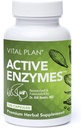 Vital Plan Active Enzymes Supplement by Dr. Bill Rawls - Digestive Enzymes for Gut Health & Trawienie - Promate, Bromelain, Lactase, Amylase & Lipase (120 kapsułki)