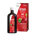 Hübner Iron Vital Liquid Iron Supply Plus Witamina C, Suplement diety dla dorosłych i dzieci, Wegan i gluten- Free, Flavor owocowy, 250 ml Butelka, 25 Służenia