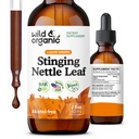Wild & Organic Stinging Nettle Leaf Extract Drops - Urynary Tract Support - Liquid Stinging Nettle Supplement - Urtica Dioica Tincture - 2- Month Supply - Vegan, Sugar & Alcohol- Free - 2 fl oz
