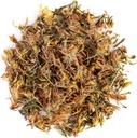 Ziele dziurawca zwyczajnego - Hypericum Perforatum - St Jhons Wart - Jhon St Johns
