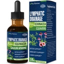 Cleavers Lymphatic Drainge Drops for Lymph System Detox Cleanse, Lymphedema Supplement Formuła w / Echinacea, Pazur Kot, Red Clover Extract Tincture, Użyj z narzędzia do masażu Lymph. 2oz