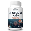 1600 mg suplement NAD liposomalu, 98% suplement Pure NAD +, Superior Absorption, Alternatywa do Nikotynamidu Riboside lub NADH do zwiększenia NAD + dla Starzeniowej Obrony, Energia, Długoterminowa, 60 Softgels